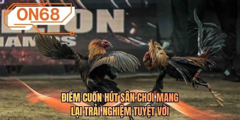 Điểm cuốn hút sân chơi mang lại trải nghiệm tuyệt vời