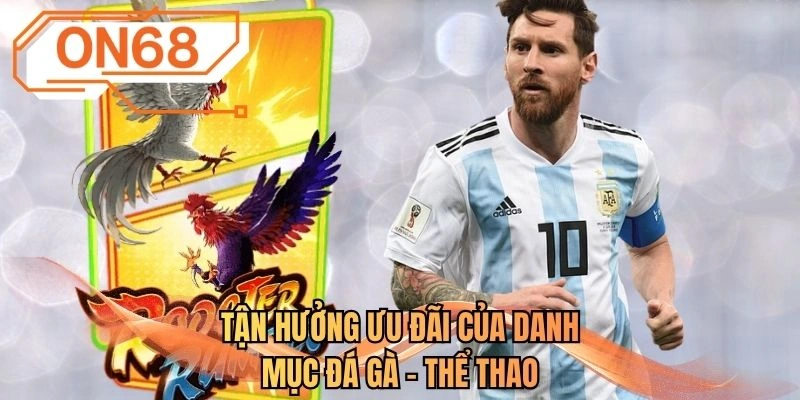 Tận hưởng ưu đãi của danh mục đá gà - thể thao